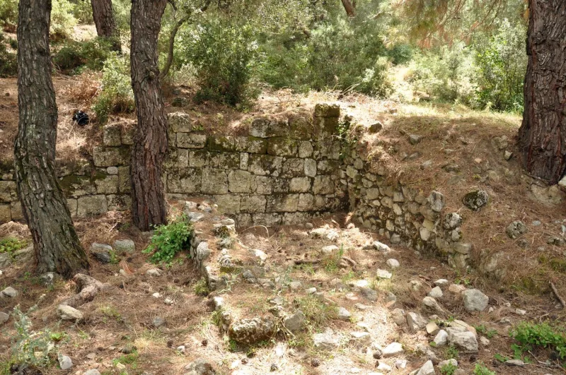 Colophon — an ancient city in Ionia near Izmir