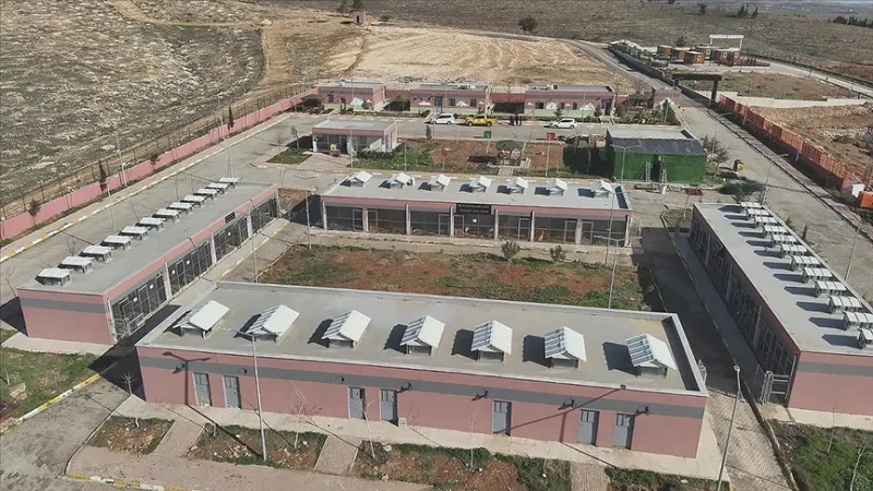 V meste Şanlıurfa bolo odchytených 27 960 túlavých zvierat