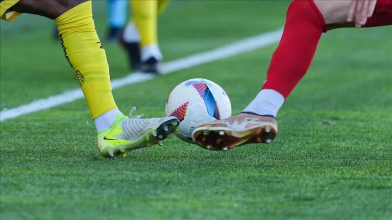 De ploeg die de Nesine 2. Lig met het laagste aantal punten heeft afgesloten, is Yeni Malatyaspor